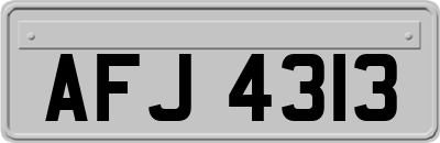 AFJ4313