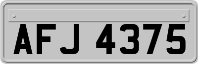 AFJ4375