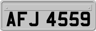 AFJ4559