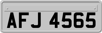 AFJ4565