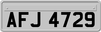 AFJ4729