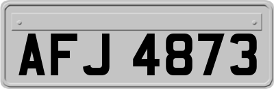 AFJ4873