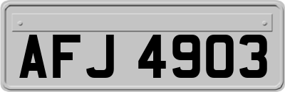 AFJ4903