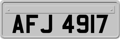 AFJ4917