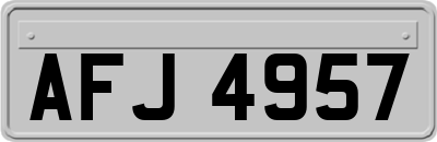AFJ4957