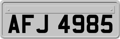 AFJ4985
