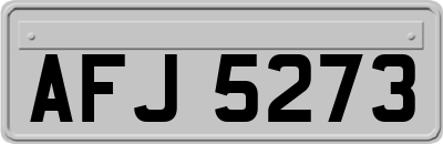 AFJ5273