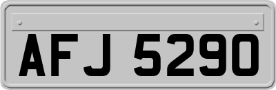 AFJ5290
