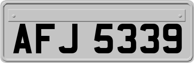 AFJ5339