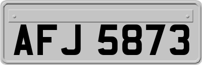 AFJ5873