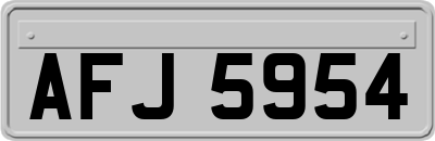 AFJ5954