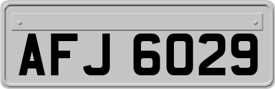 AFJ6029