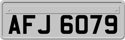 AFJ6079