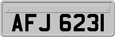 AFJ6231
