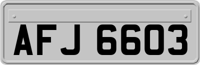 AFJ6603