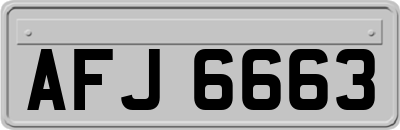 AFJ6663