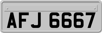 AFJ6667