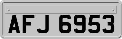 AFJ6953