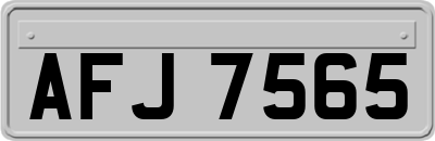 AFJ7565
