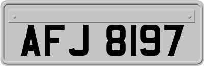 AFJ8197