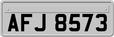 AFJ8573