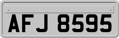 AFJ8595