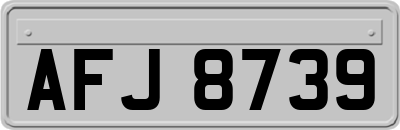 AFJ8739