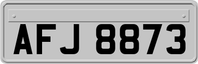 AFJ8873