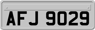 AFJ9029