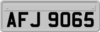 AFJ9065