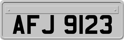 AFJ9123