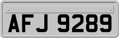 AFJ9289
