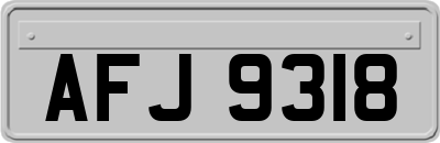 AFJ9318