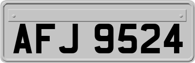 AFJ9524