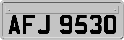 AFJ9530