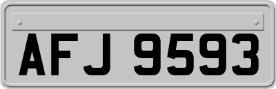AFJ9593