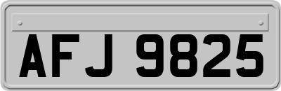 AFJ9825