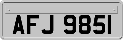 AFJ9851