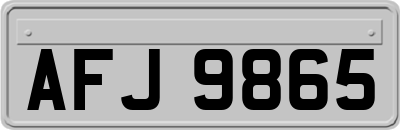 AFJ9865