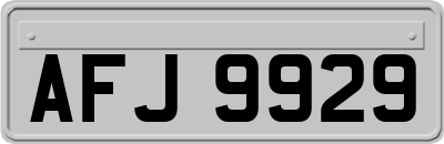 AFJ9929
