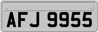 AFJ9955