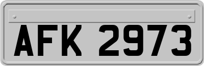 AFK2973
