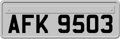 AFK9503