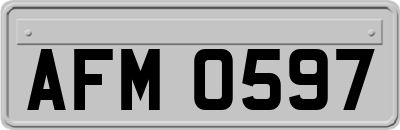 AFM0597