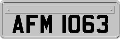 AFM1063