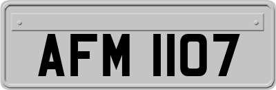 AFM1107