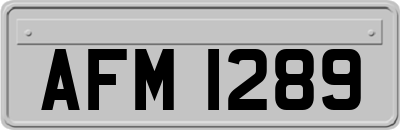 AFM1289