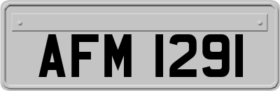 AFM1291