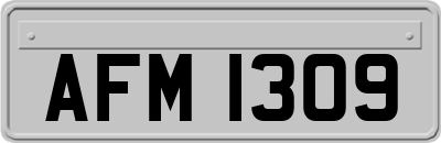AFM1309
