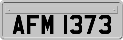 AFM1373
